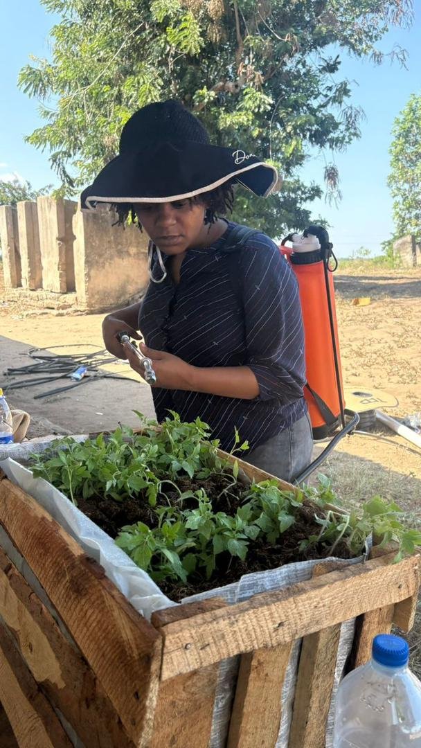 Sustainable Agriculture Initiative - Image 11